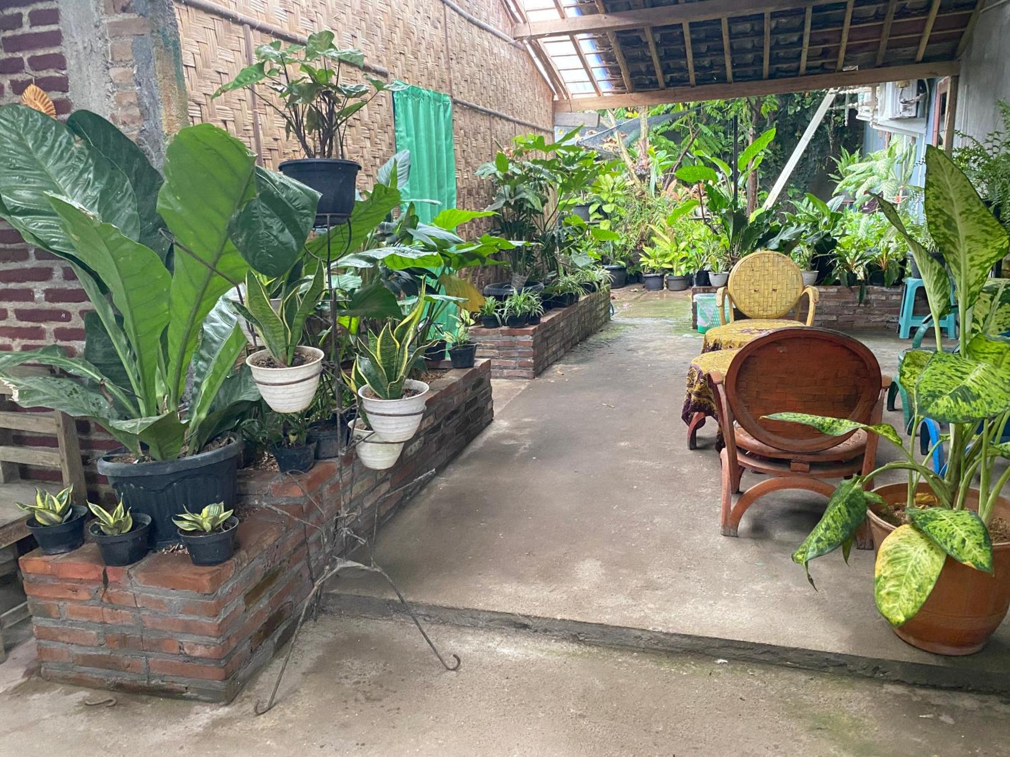 Ada Homestay Маґеланґ Екстер'єр фото